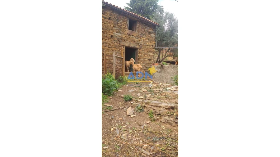 Terreno para Venda em Janeiro de Cima e Bogas de Baixo Foto 4