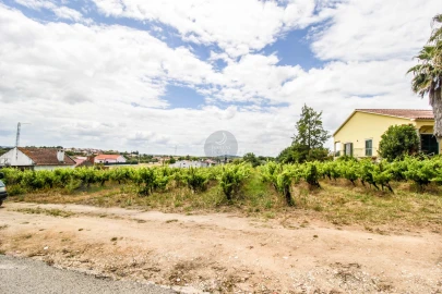 Terreno para Venda em Alcanhões