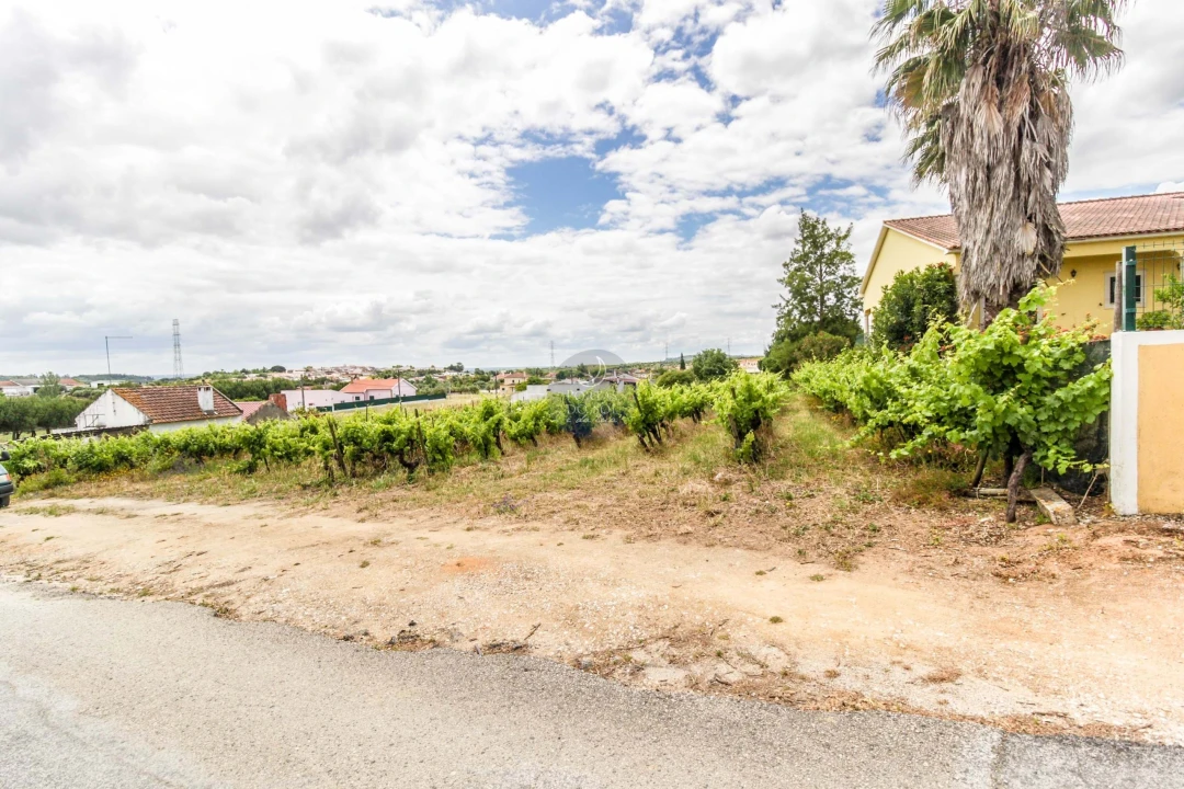 Terreno para Venda em Alcanhões Foto 1
