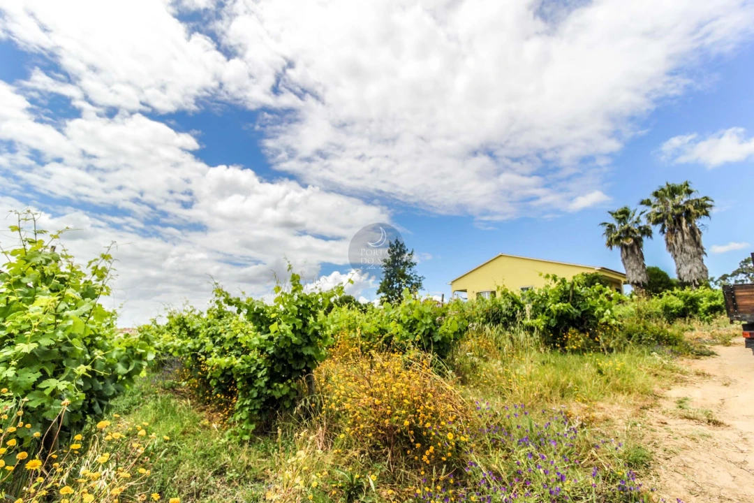 Terreno para Venda em Alcanhões Foto 3