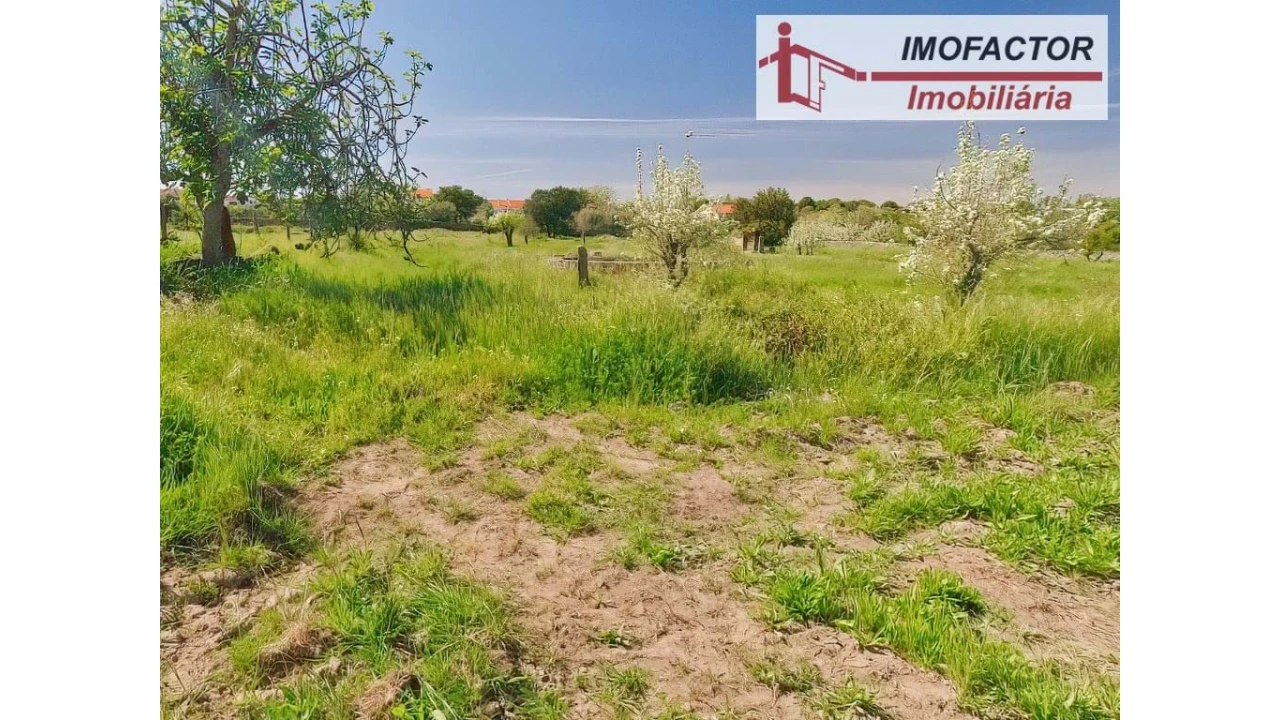 Quinta para Venda em Castelo Branco Foto 33