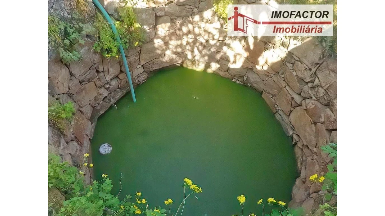 Quinta para Venda em Castelo Branco Foto 27