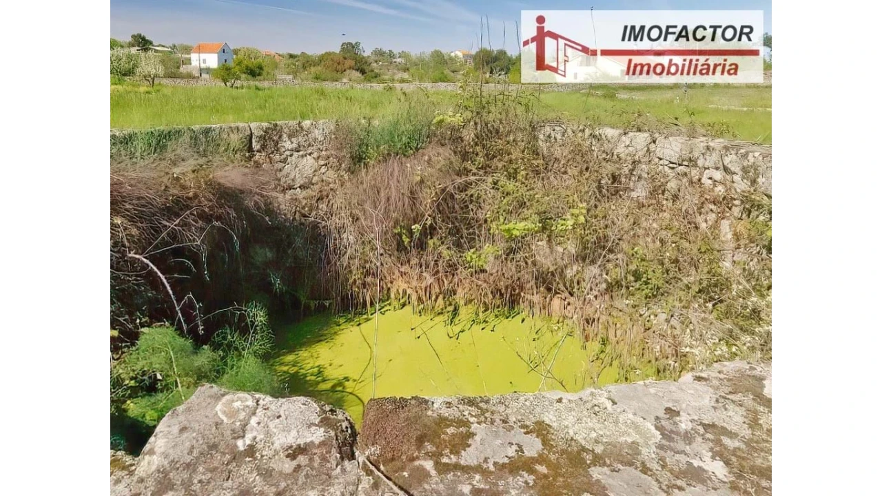 Quinta para Venda em Castelo Branco Foto 21