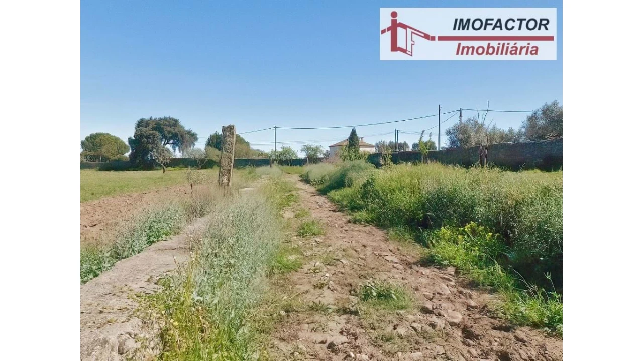 Quinta para Venda em Castelo Branco Foto 31