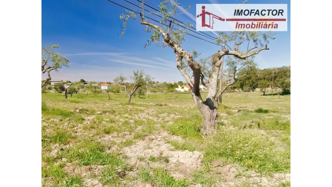 Quinta para Venda em Castelo Branco Foto 18