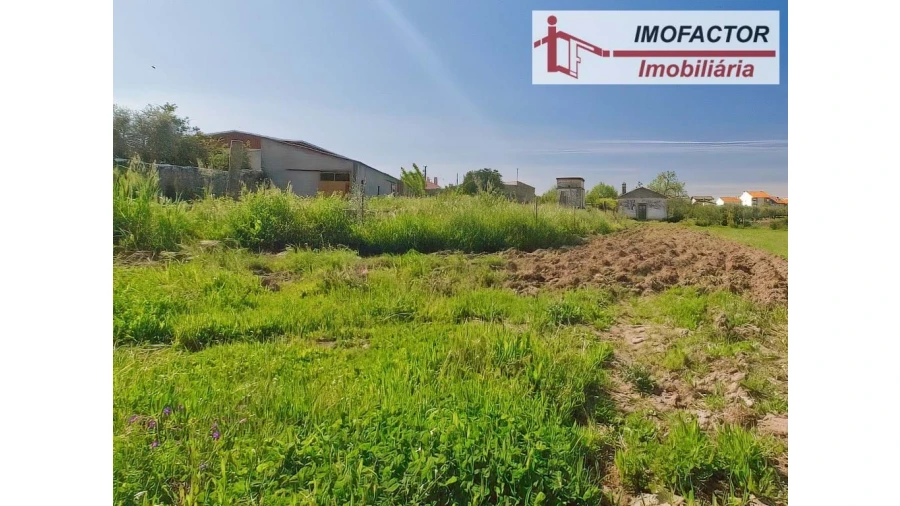 Quinta para Venda em Castelo Branco Foto 9