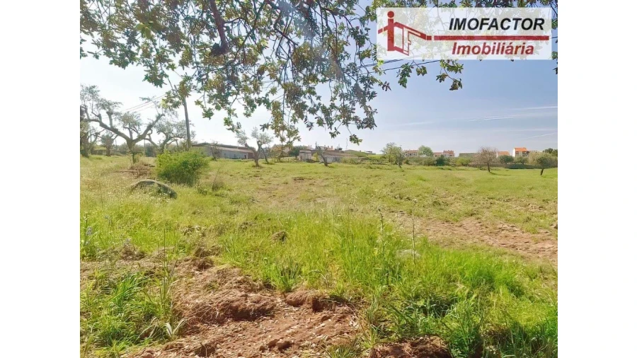 Quinta para Venda em Castelo Branco Foto 30