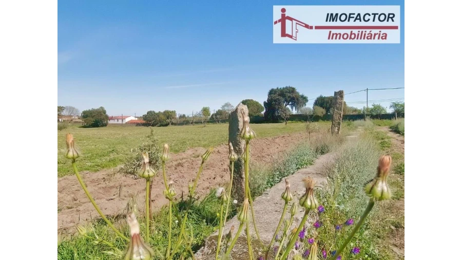 Quinta para Venda em Castelo Branco Foto 22