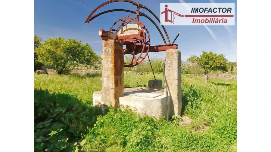 Quinta para Venda em Castelo Branco Foto 17