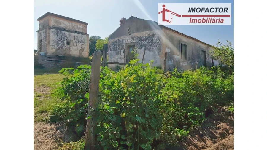 Quinta para Venda em Castelo Branco Foto 7