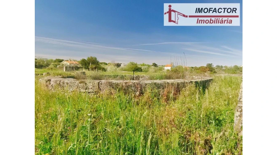 Quinta para Venda em Castelo Branco Foto 20