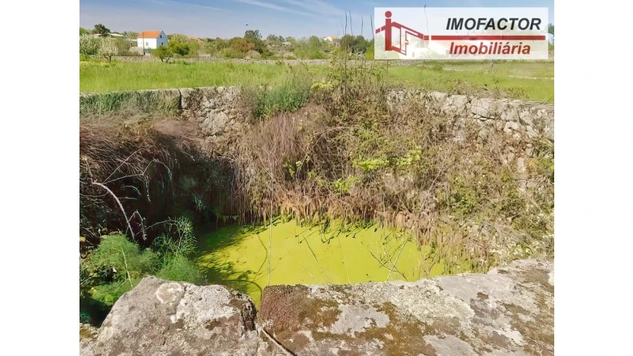 Quinta para Venda em Castelo Branco Foto 21