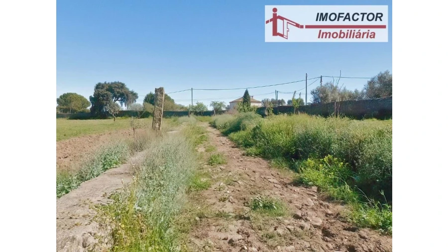 Quinta para Venda em Castelo Branco Foto 31
