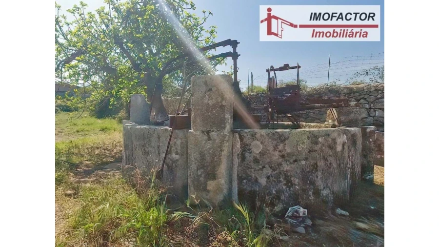 Quinta para Venda em Castelo Branco Foto 28