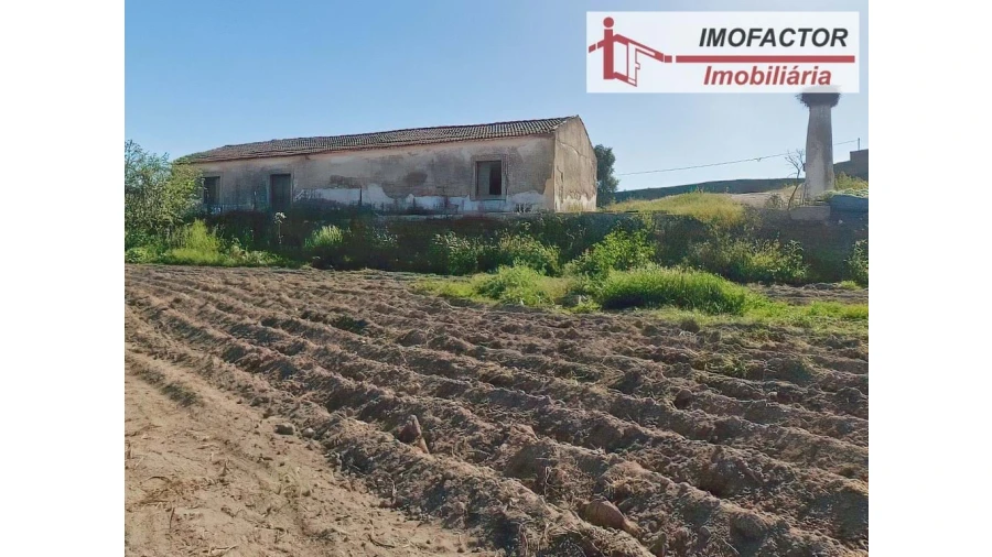 Quinta para Venda em Castelo Branco Foto 37