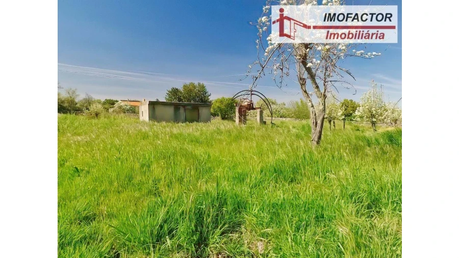 Quinta para Venda em Castelo Branco Foto 15