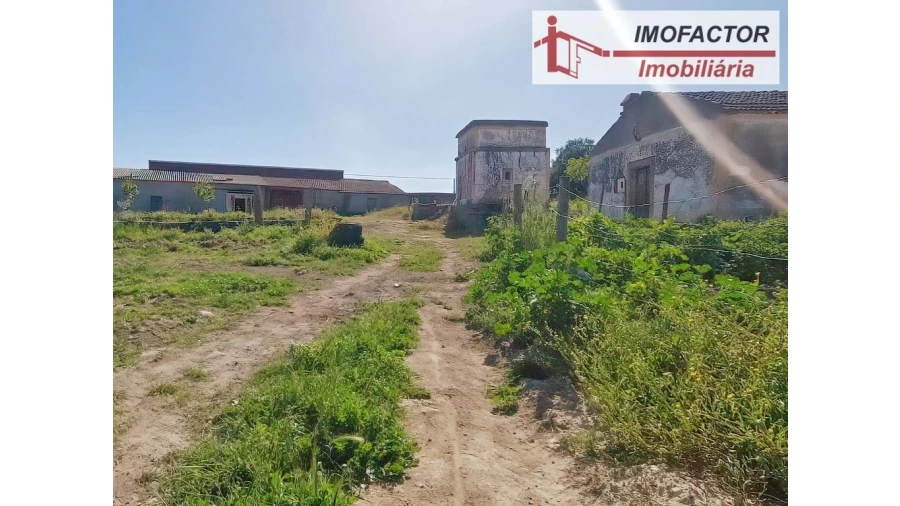 Quinta para Venda em Castelo Branco Foto 10