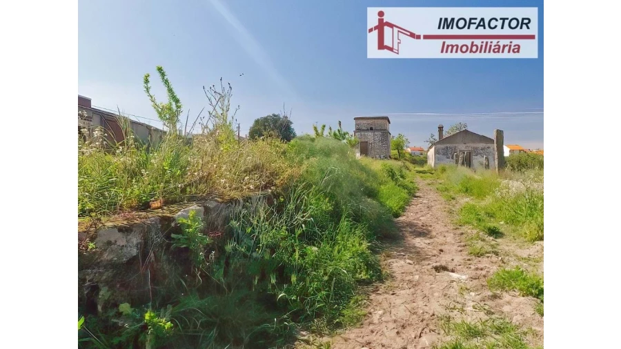 Quinta para Venda em Castelo Branco Foto 6