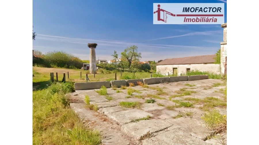 Quinta para Venda em Castelo Branco Foto 1