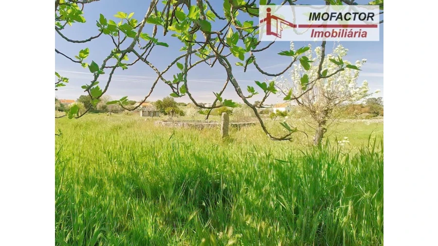 Quinta para Venda em Castelo Branco Foto 19