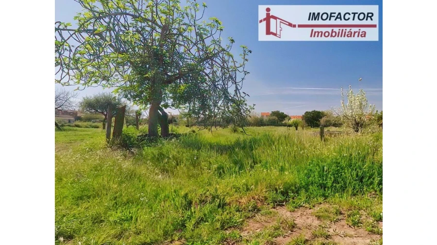 Quinta para Venda em Castelo Branco Foto 34