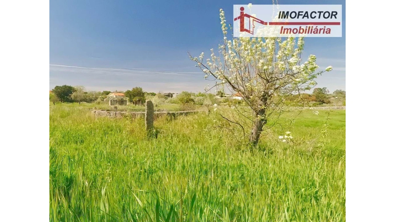 Quinta para Venda em Castelo Branco Foto 35