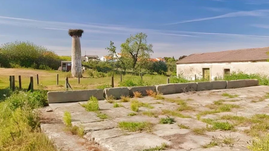 Quinta para Venda em Castelo Branco