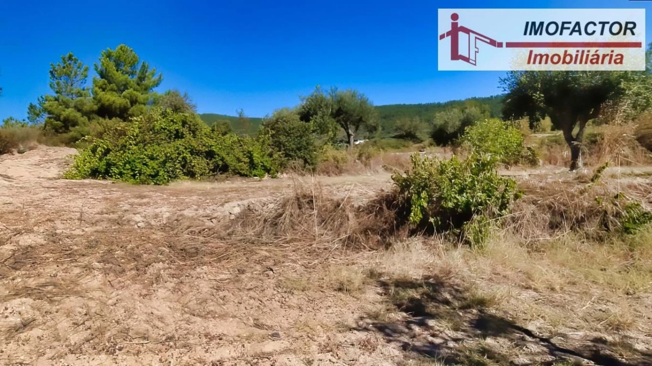 Quinta para Venda em Vale de Prazeres e Mata da Rainha Foto 30