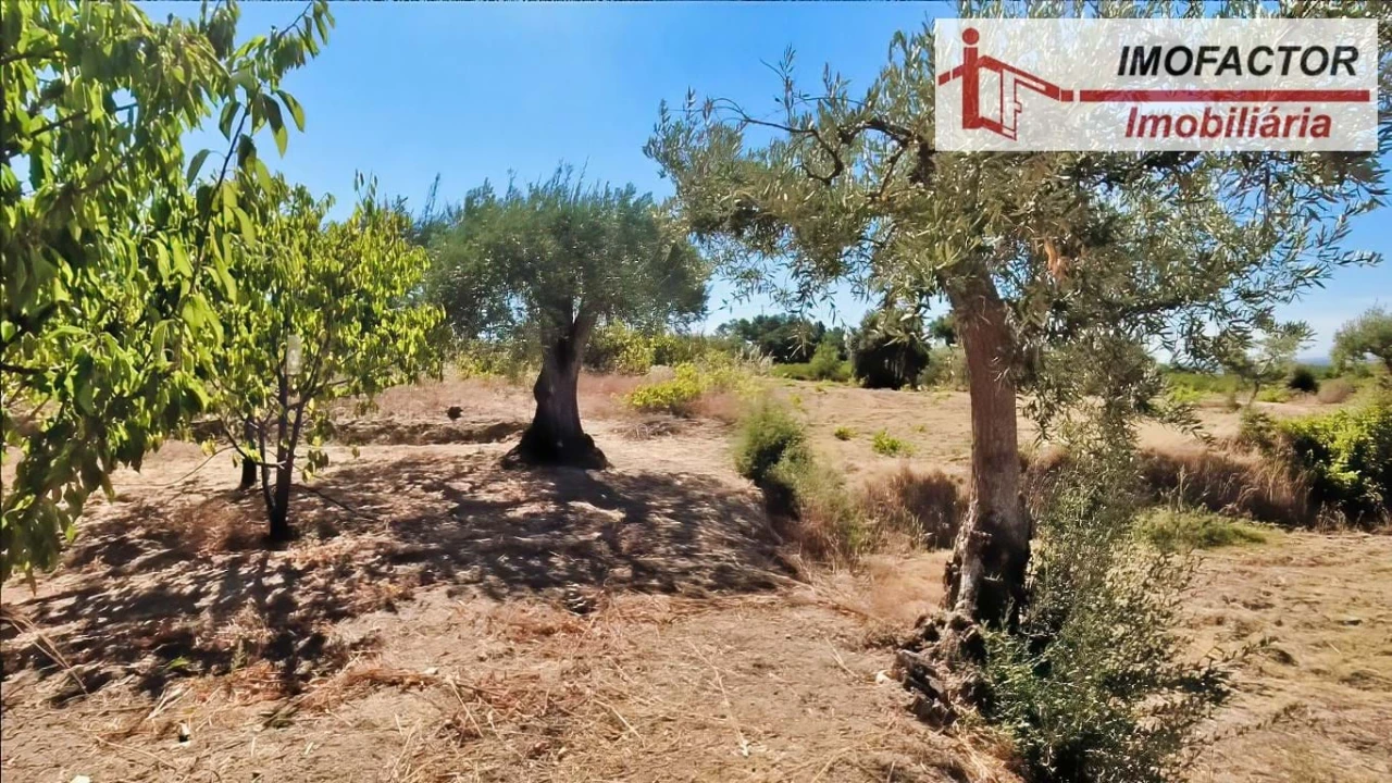 Quinta para Venda em Vale de Prazeres e Mata da Rainha Foto 28