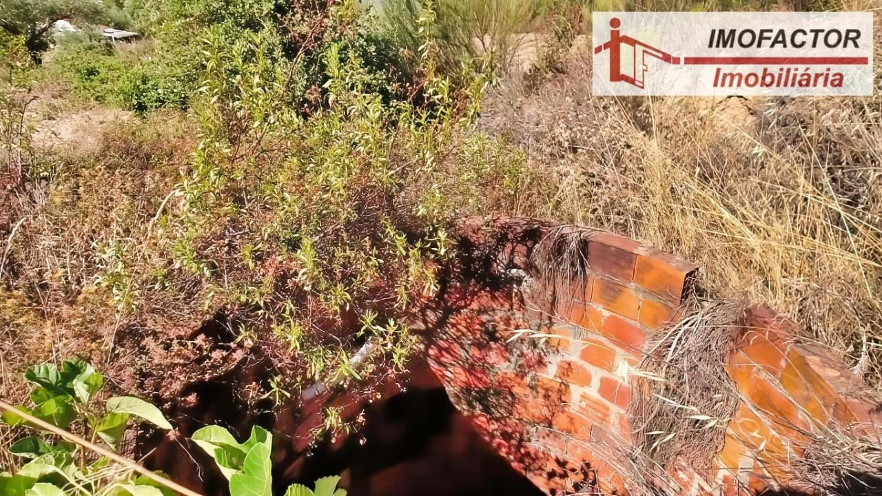 Quinta para Venda em Vale de Prazeres e Mata da Rainha Foto 16