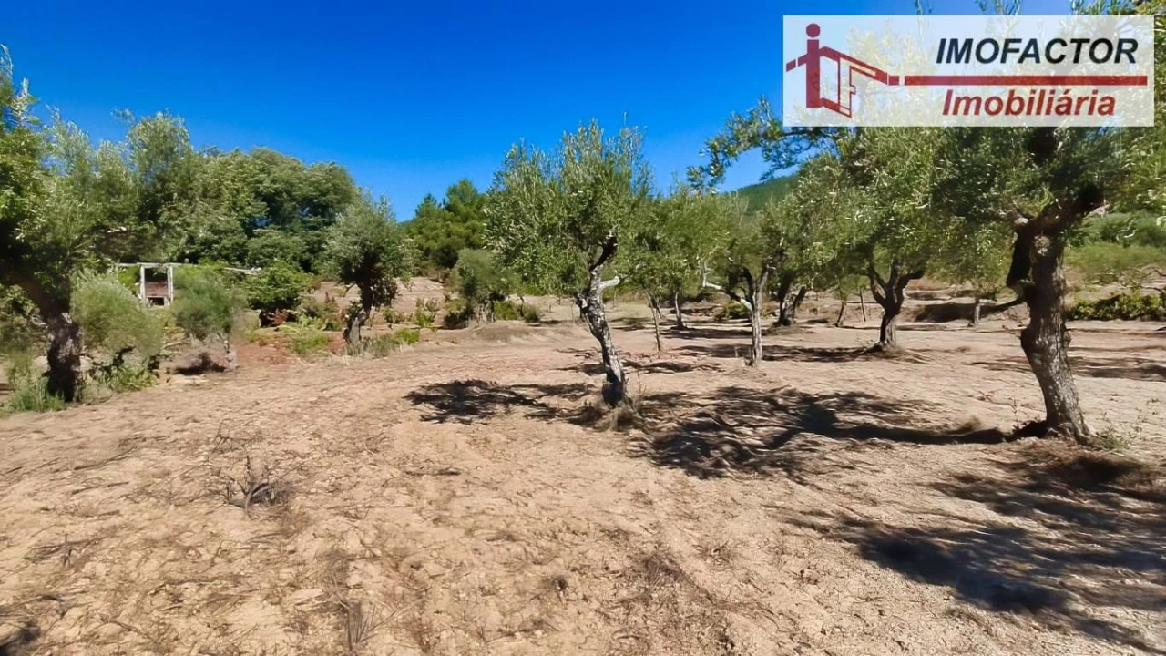 Quinta para Venda em Vale de Prazeres e Mata da Rainha Foto 24