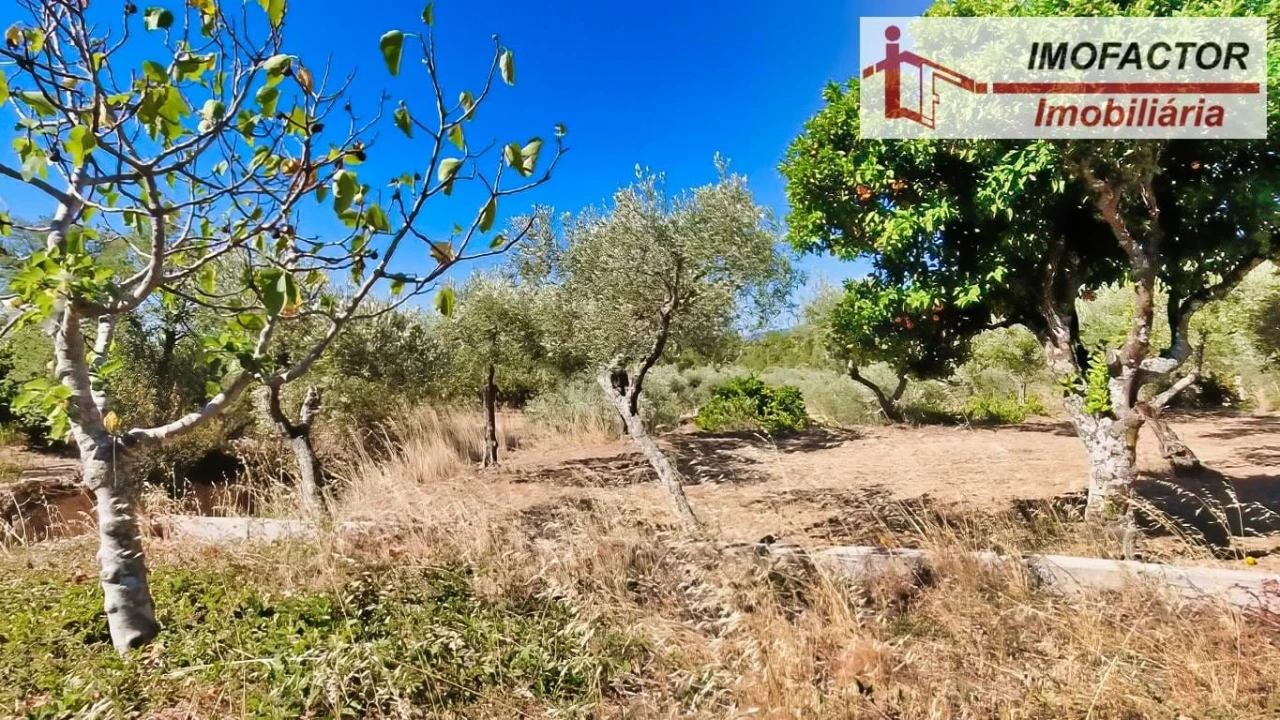 Quinta para Venda em Vale de Prazeres e Mata da Rainha Foto 22
