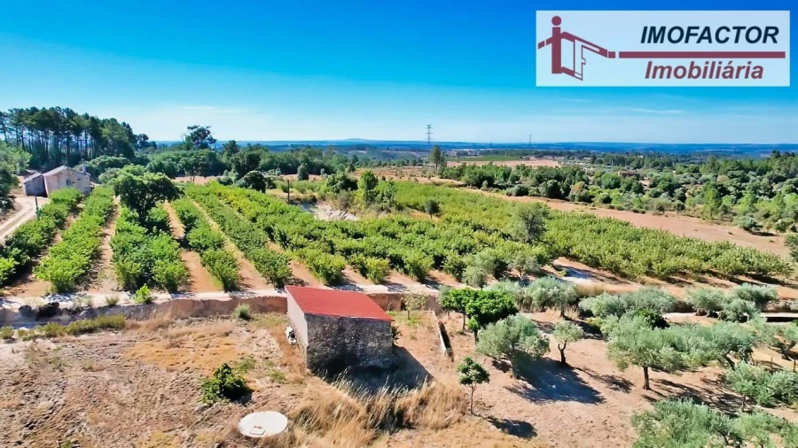 Quinta para Venda em Vale de Prazeres e Mata da Rainha Foto 12