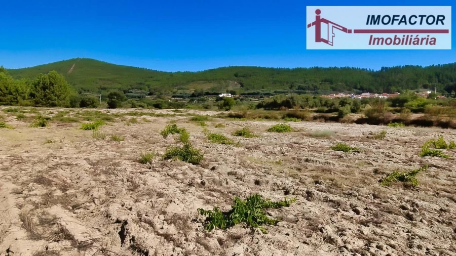 Quinta para Venda em Vale de Prazeres e Mata da Rainha Foto 32