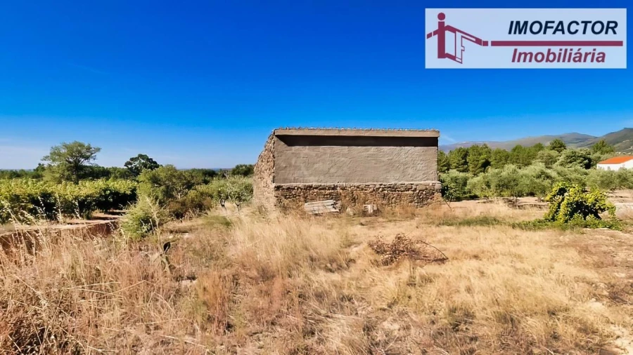 Quinta para Venda em Vale de Prazeres e Mata da Rainha Foto 9