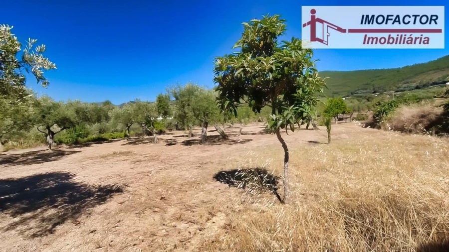 Quinta para Venda em Vale de Prazeres e Mata da Rainha Foto 23