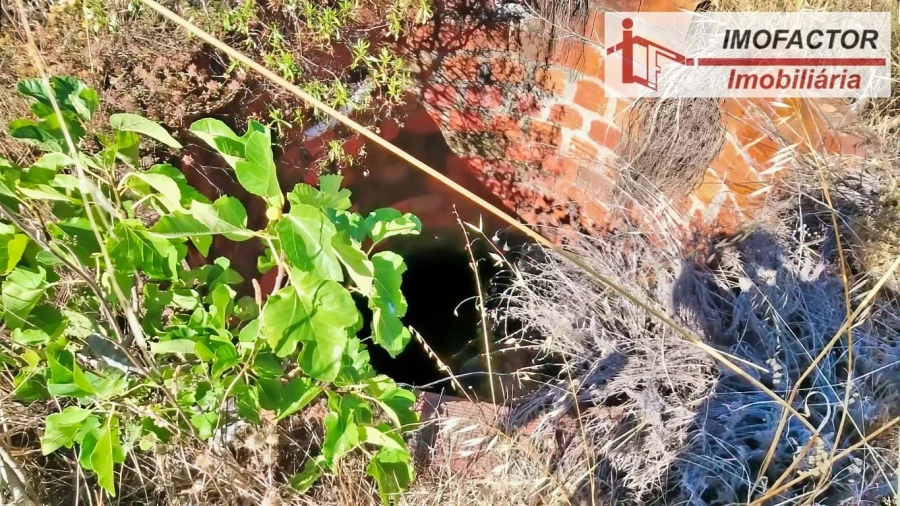 Quinta para Venda em Vale de Prazeres e Mata da Rainha Foto 20