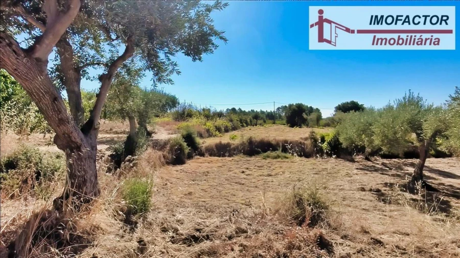 Quinta para Venda em Vale de Prazeres e Mata da Rainha Foto 26