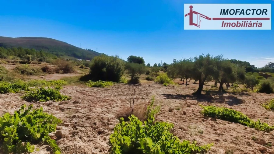 Quinta para Venda em Vale de Prazeres e Mata da Rainha Foto 31