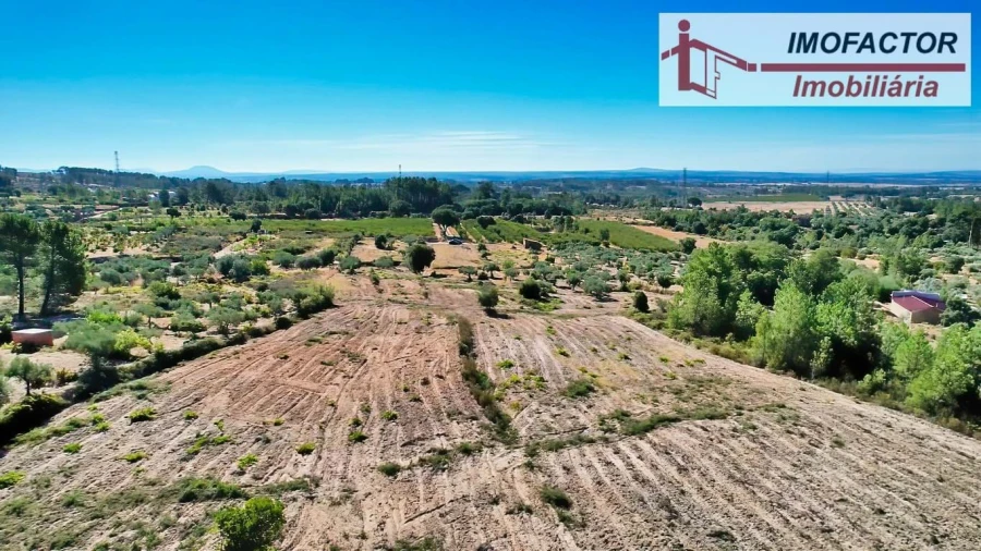 Quinta para Venda em Vale de Prazeres e Mata da Rainha Foto 19