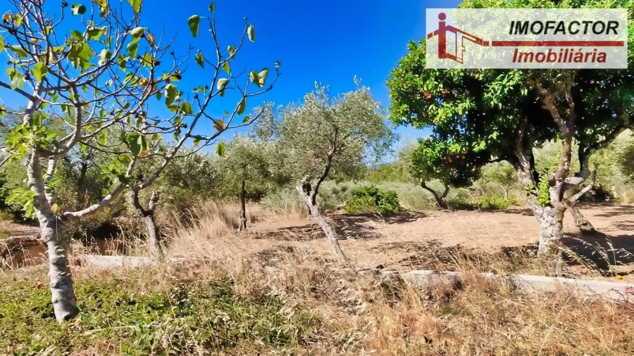 Quinta para Venda em Vale de Prazeres e Mata da Rainha Foto 22