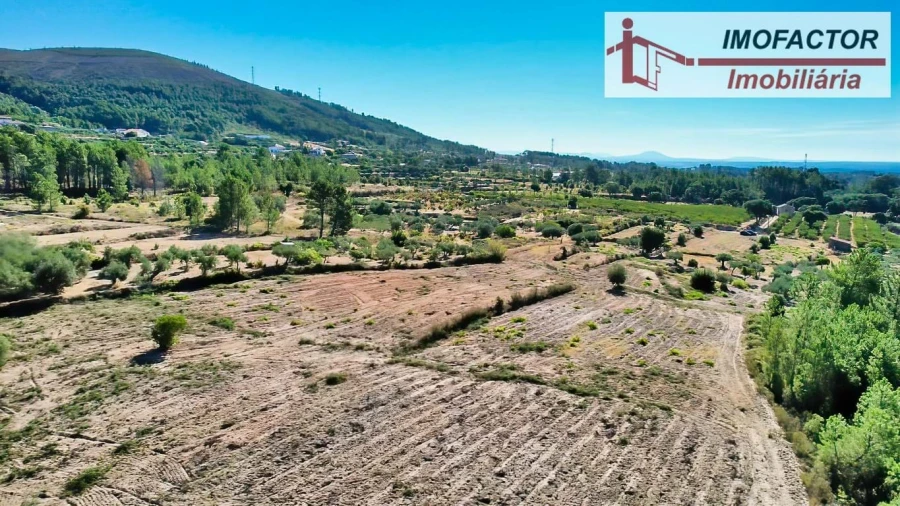 Quinta para Venda em Vale de Prazeres e Mata da Rainha Foto 18