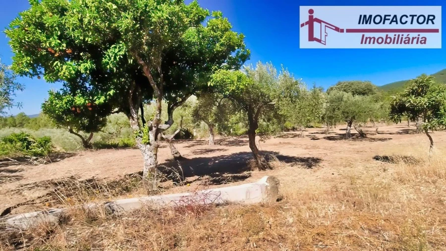 Quinta para Venda em Vale de Prazeres e Mata da Rainha Foto 21