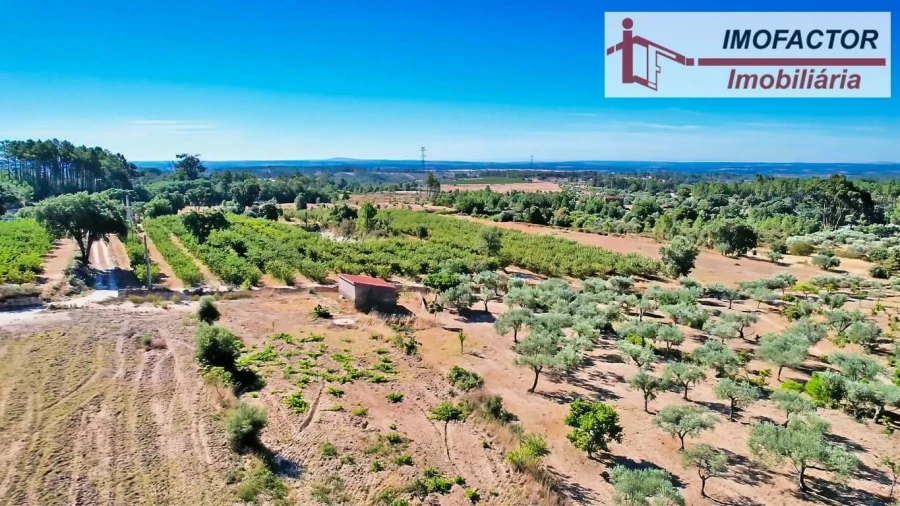 Quinta para Venda em Vale de Prazeres e Mata da Rainha Foto 14