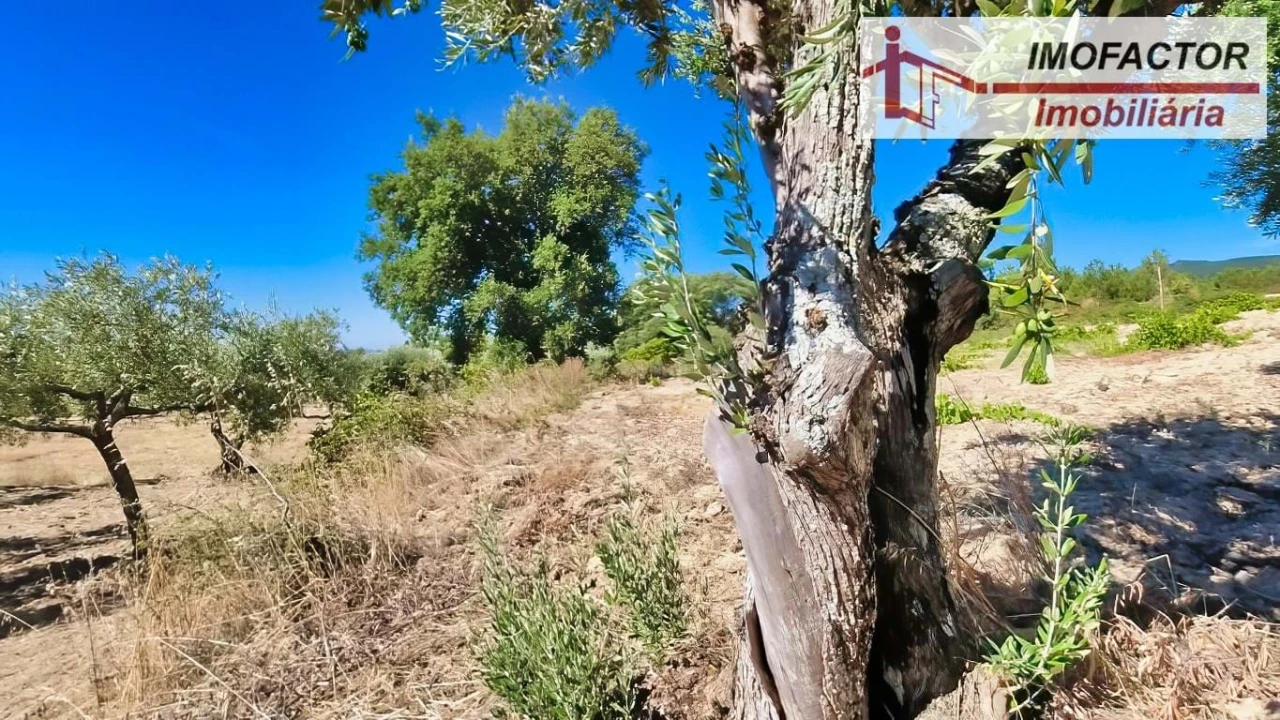 Quinta para Venda em Vale de Prazeres e Mata da Rainha Foto 27