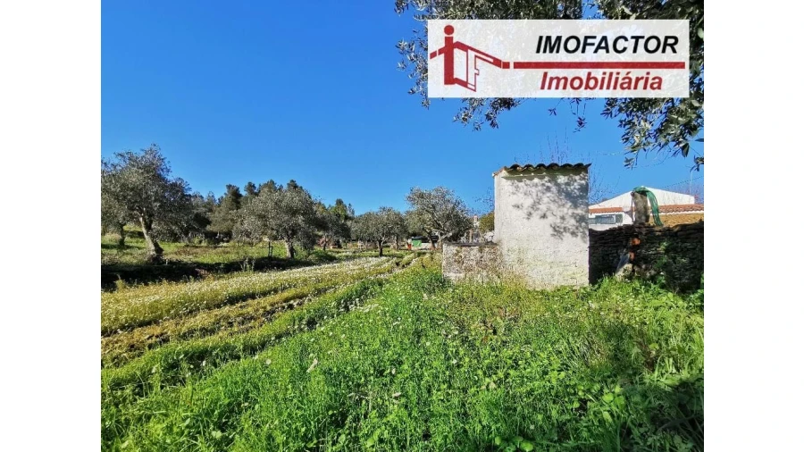 Quinta T3 para Venda em Vila Velha de Rodão Foto 12