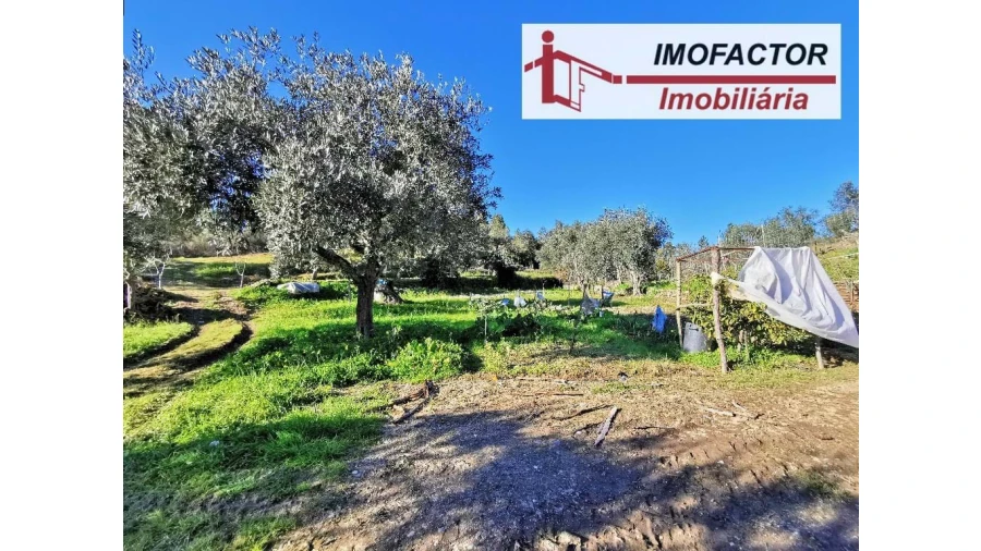 Quinta T3 para Venda em Vila Velha de Rodão Foto 15