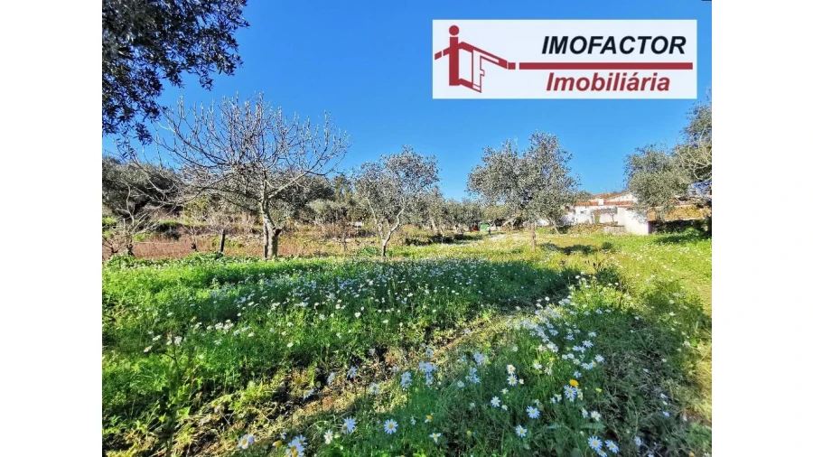 Quinta T3 para Venda em Vila Velha de Rodão Foto 17