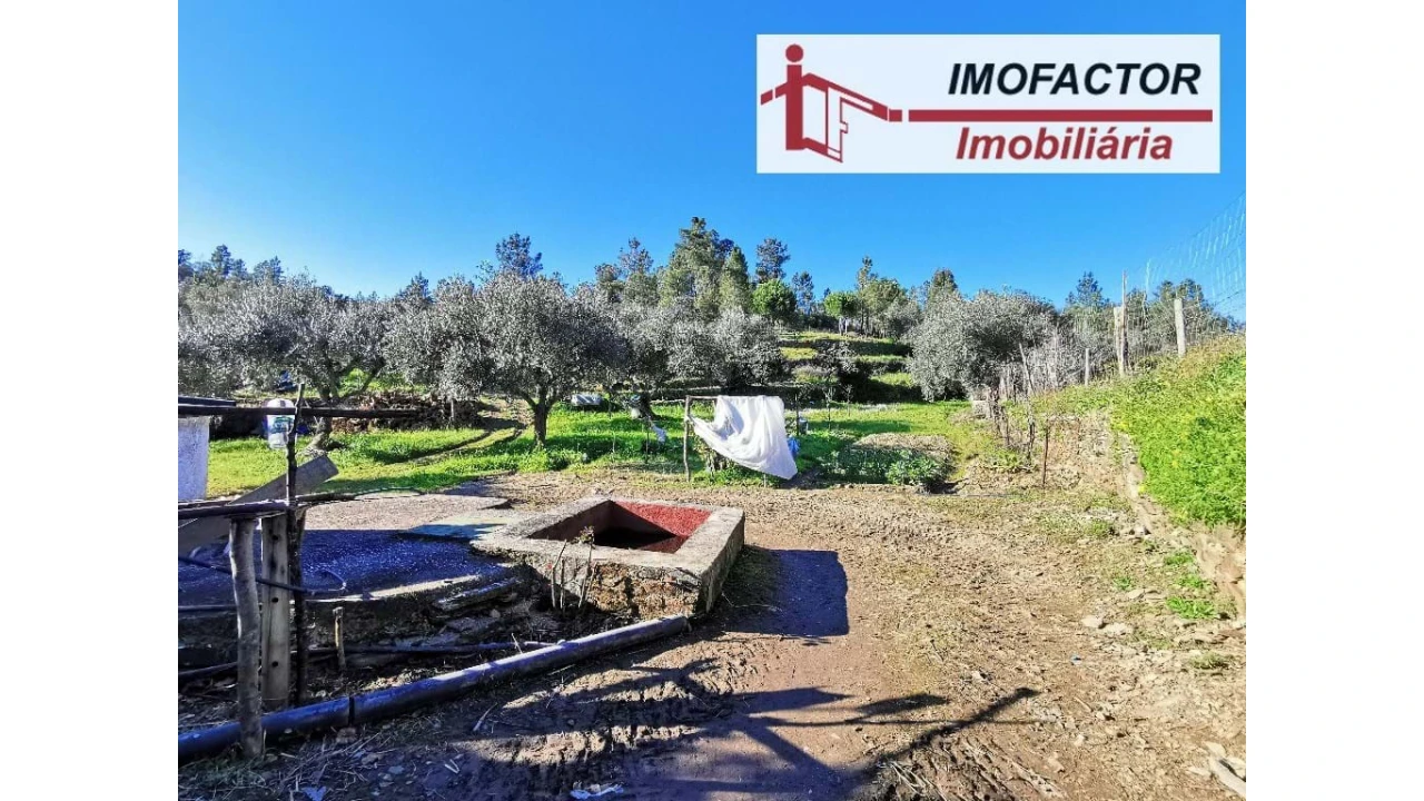 Quinta T3 para Venda em Vila Velha de Rodão Foto 18