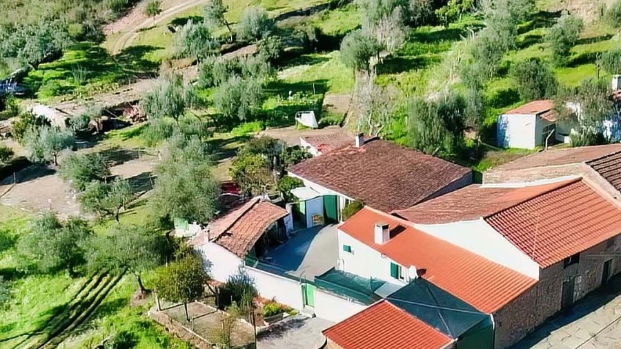 Quinta T3 para Venda em Vila Velha de Rodão